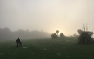 Brume matinale au 2